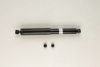 BILSTEIN 19-061160 Shock Absorber